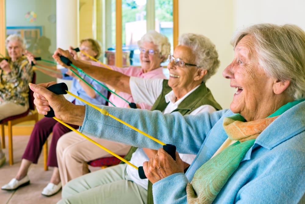 seniors activity home care